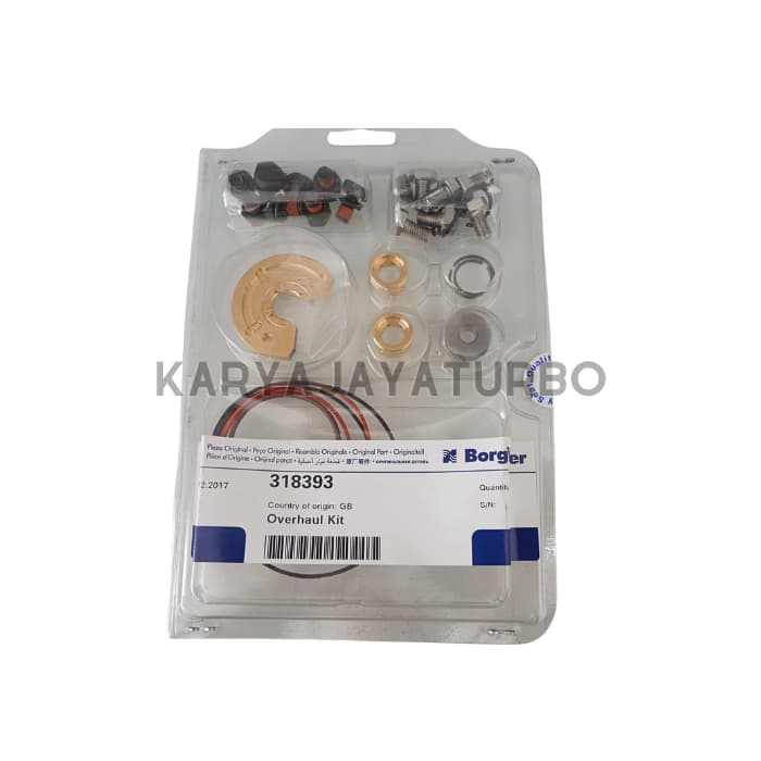 REPAIR KIT / SERVICE KIT S300 - BORGWARNER