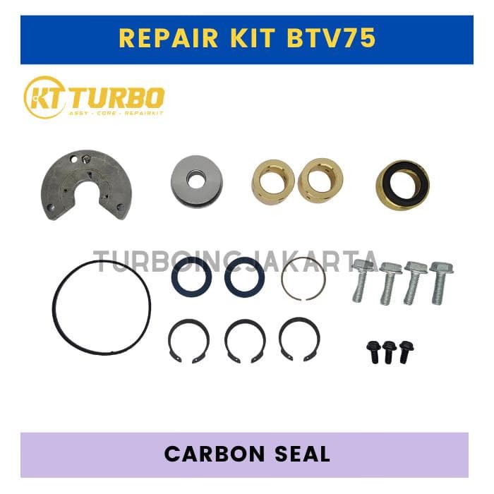 REPAIR KIT TURBO BTV75 (CARBON SEAL)